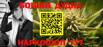 индика Ливны