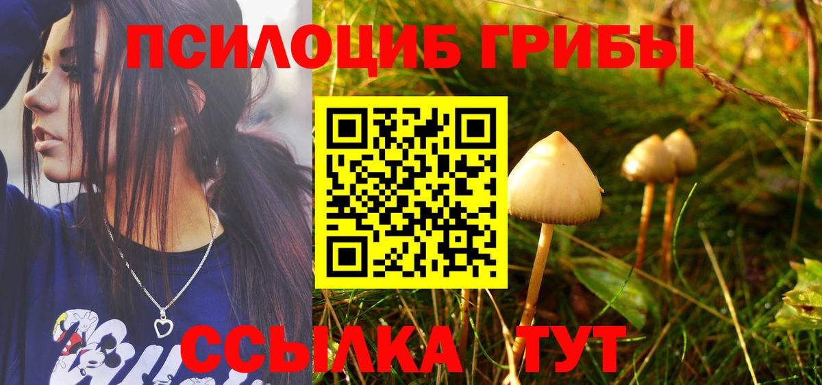 Псилоцибиновые грибы GOLDEN TEACHER Еманжелинск